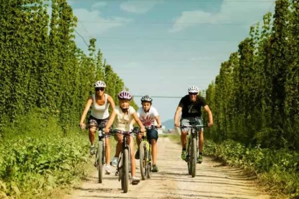 Sloveniaonbike tour Hops Cycling